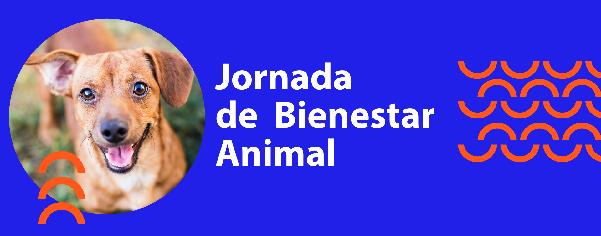 Jornada de Bienestar Animal