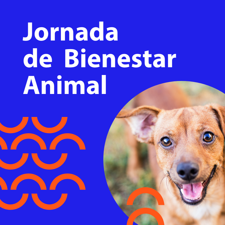 Jornada de Bienestar Animal