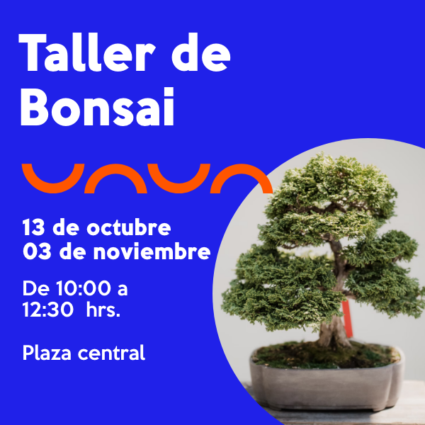 Taller de Bonsai