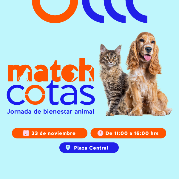 ¡Porque son todo para nosotros! Una jornada de bienestar dedicada a nuestras mascotas.