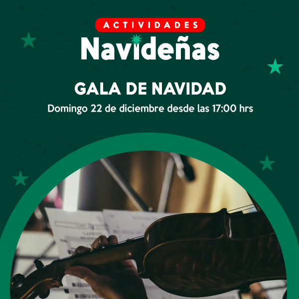 Gala navidad