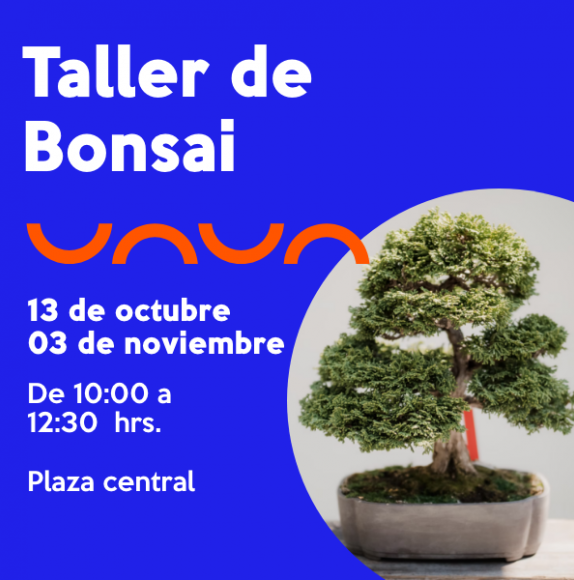 Taller de Bonsai